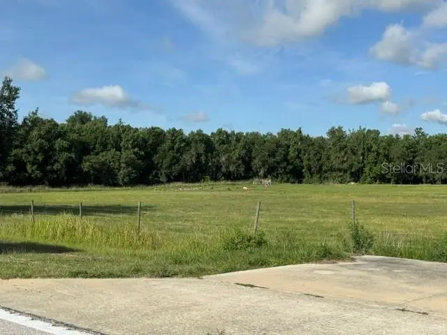 701 Brooke Road, Fort Meade, FL 33841 - #2