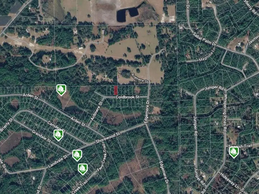 116 Coldbrook Street, Georgetown, FL 32139 - #2