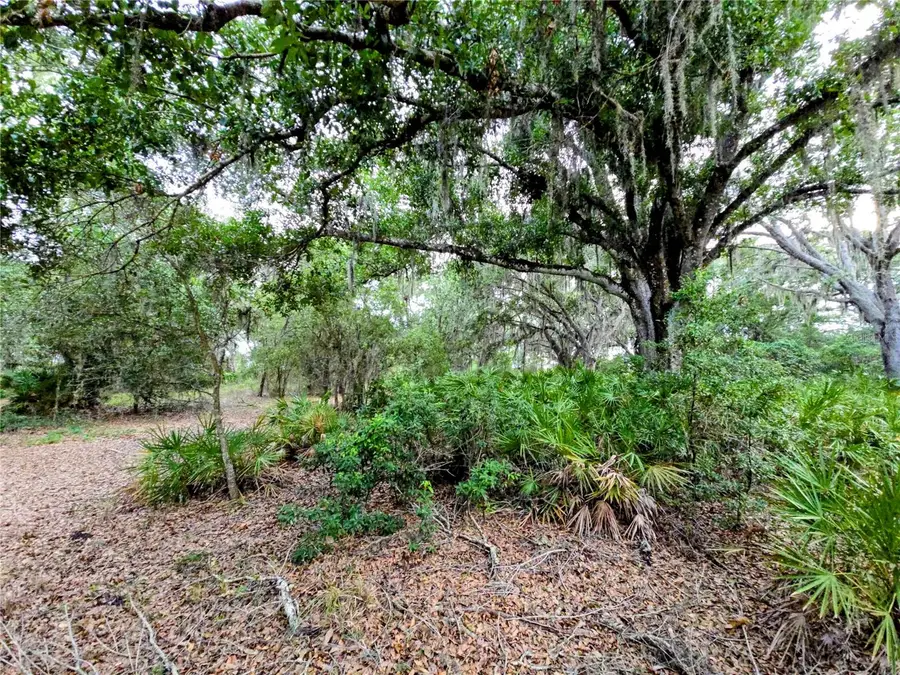 Avon-park Cutoff Road, Fort Meade, FL 33841 - #3