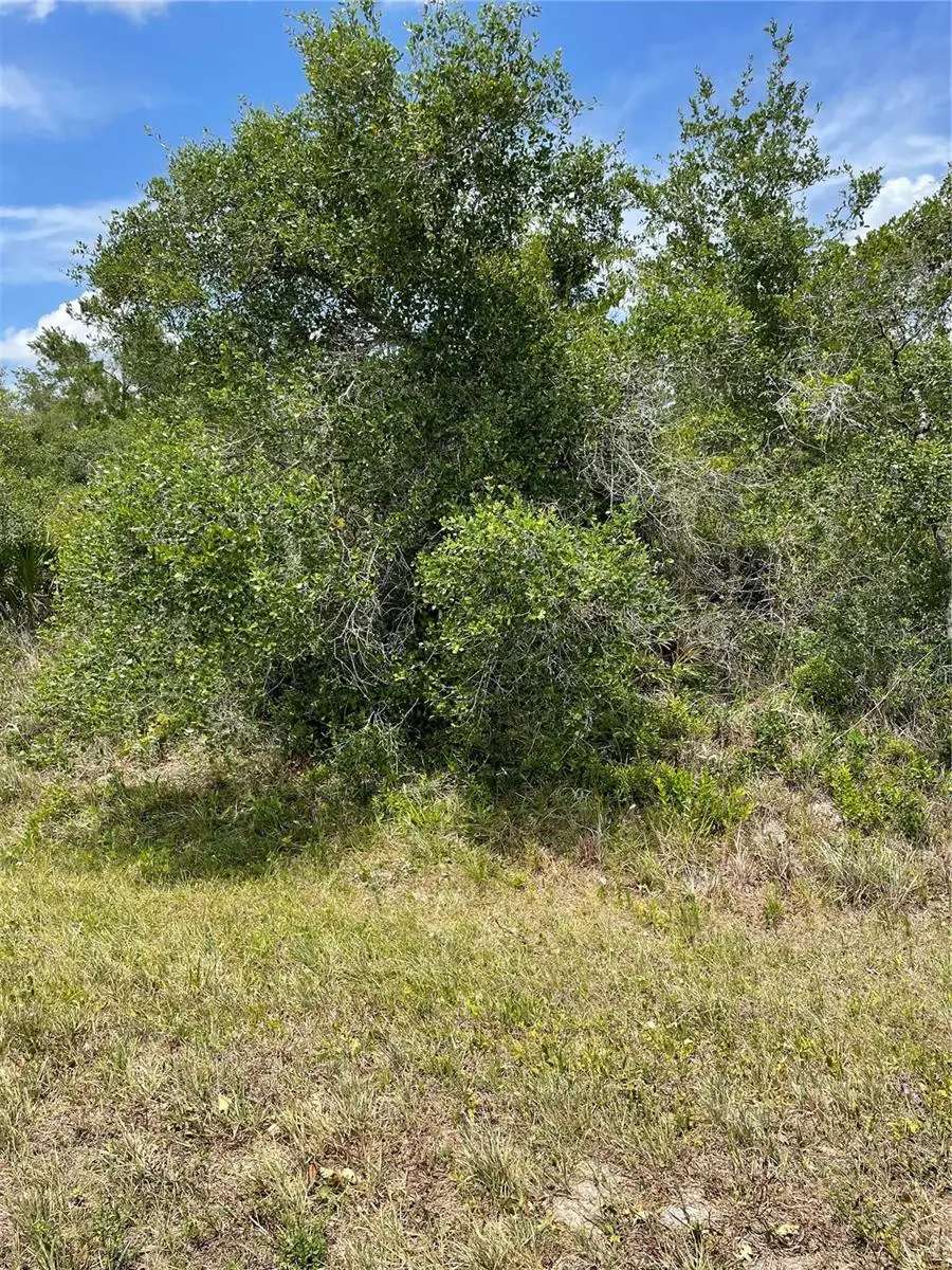 33514, 33522,33528 Washington Loop Road, Punta Gorda, FL 33982 - #3