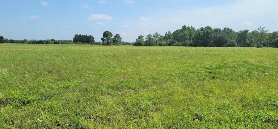 12098 & 12106 Salitpa Court, Placida, FL 33946 - #2