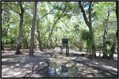 7019 Crooked Creek Lane, Zolfo Springs, FL 33890 - #2