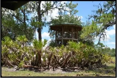 7019 Crooked Creek Lane, Zolfo Springs, FL 33890 - #3