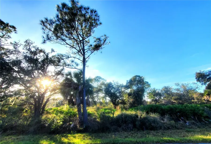 1520 Capel St & 1603 Frisco Terrace, Port Charlotte, FL 33953 - Image #3