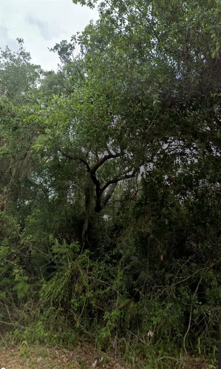 2105 Basin Street, Port Charlotte, FL 33952 - Image #1