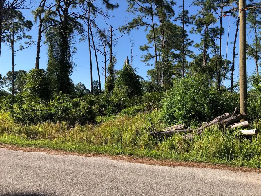 Dandurand Avenue, North Port, FL 34291 - Image #2