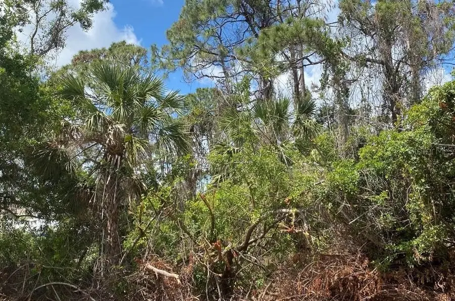 18290 Eblis Avenue, Port Charlotte, FL 33948 - Image #2