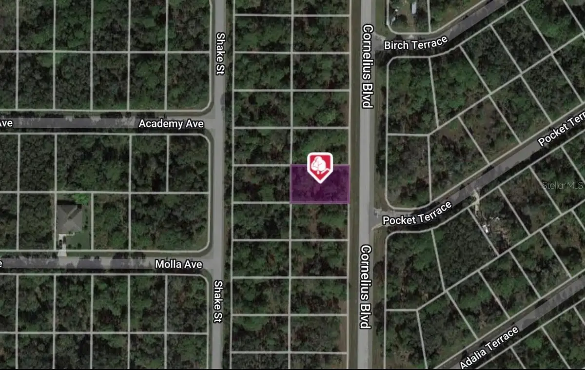 1323 Cornelius Boulevard, Port Charlotte, FL 33953 - Image #1