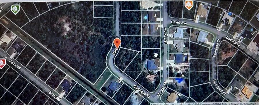 Carthage Street, North Port, FL 34286 - Image #2