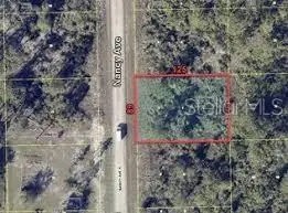 241 Nancy Avenue S, Lehigh Acres, FL 33974 - #2