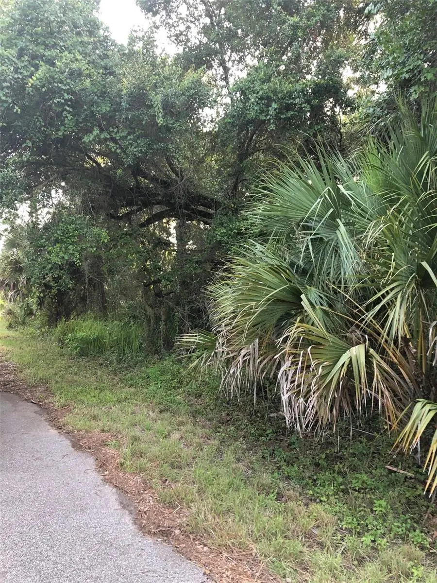 Carmelia Street, North Port, FL 34288 - Image #2