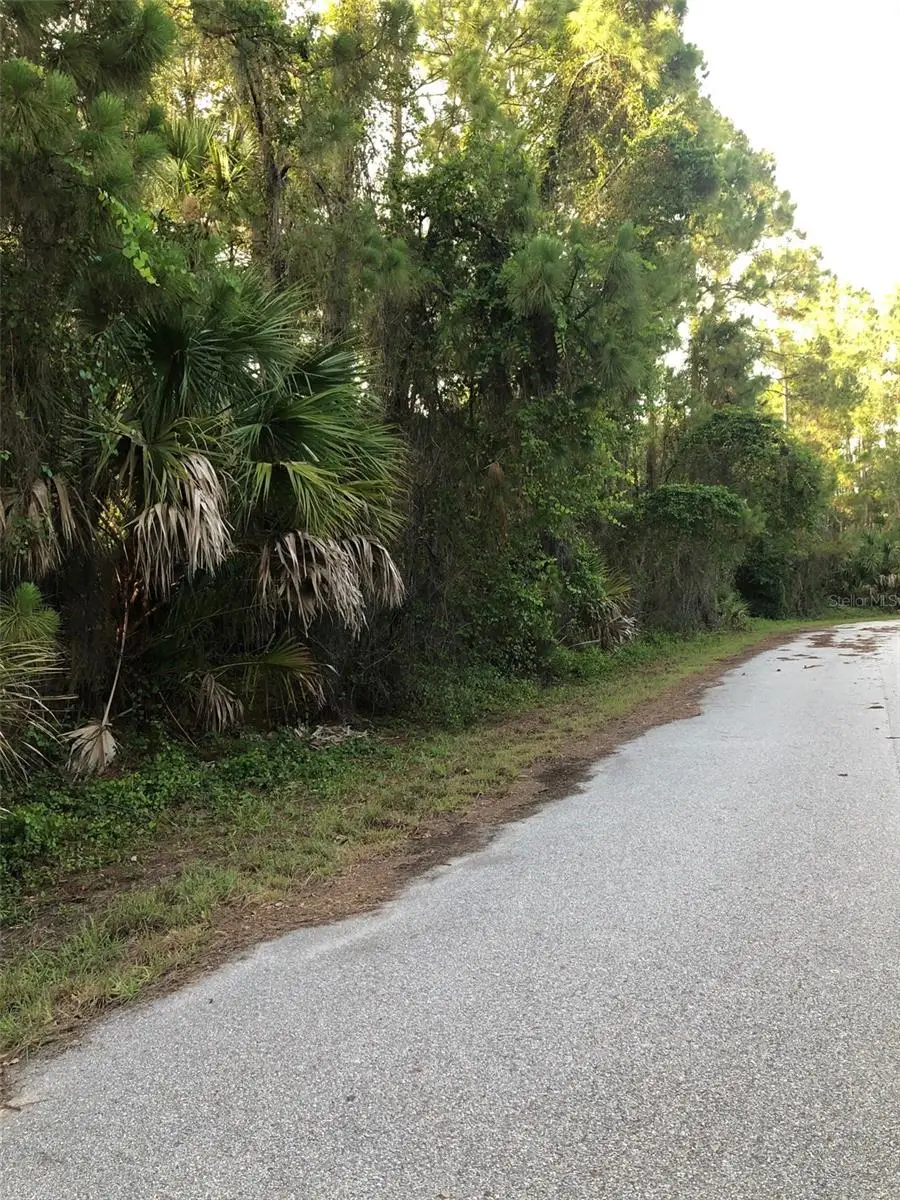 Carmelia Street, North Port, FL 34288 - Image #3