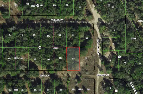 1902 Victor Street, INVERNESS, FL 34453