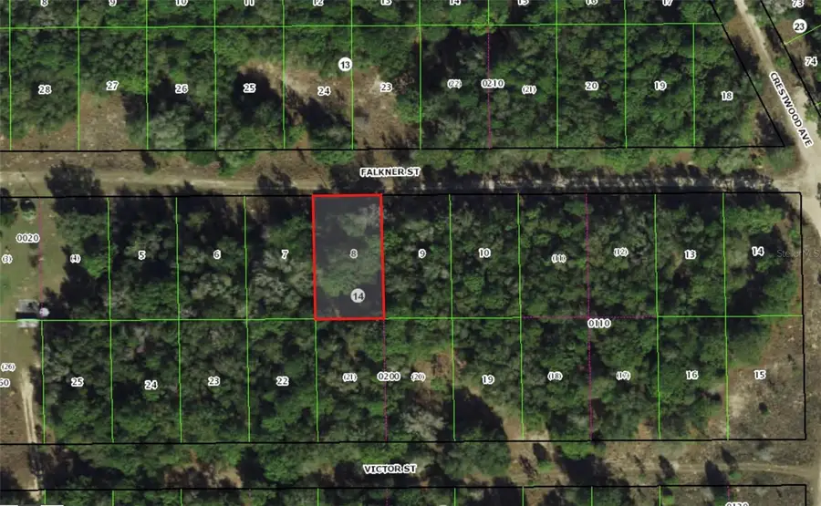 1913 Falkner Street, Inverness, FL 34453 - Image #3