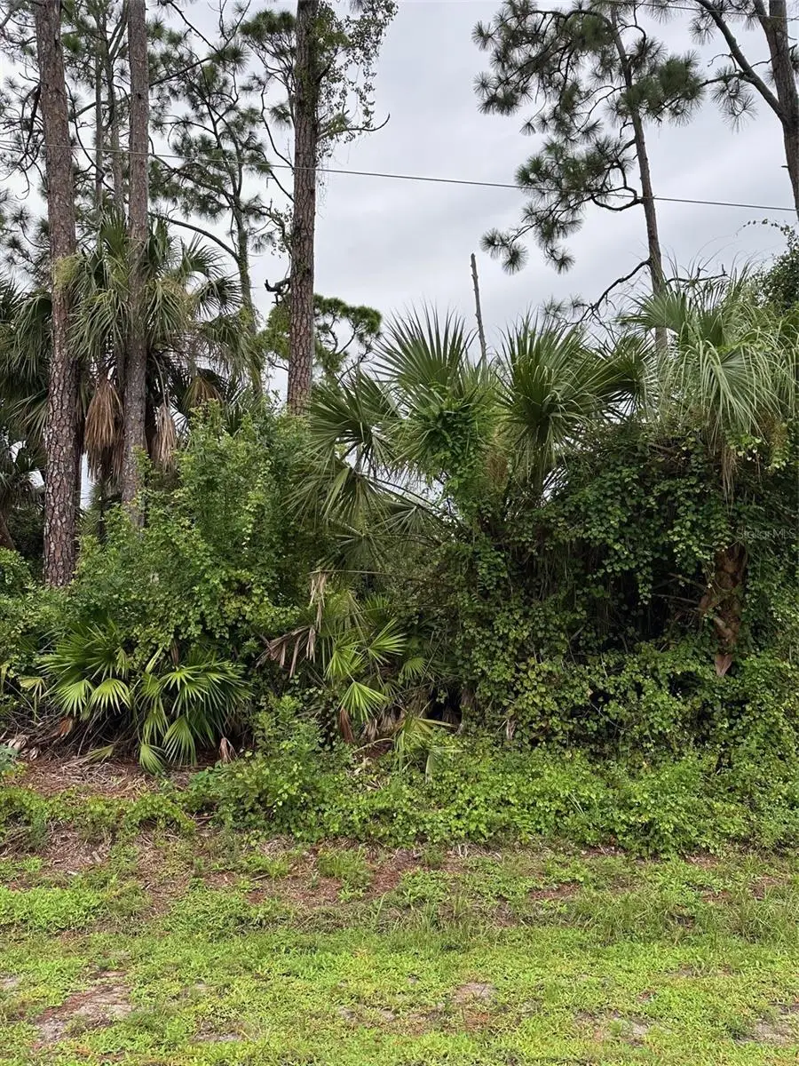 Address Withheld By Seller, Port Charlotte, FL 33954 - Image #1