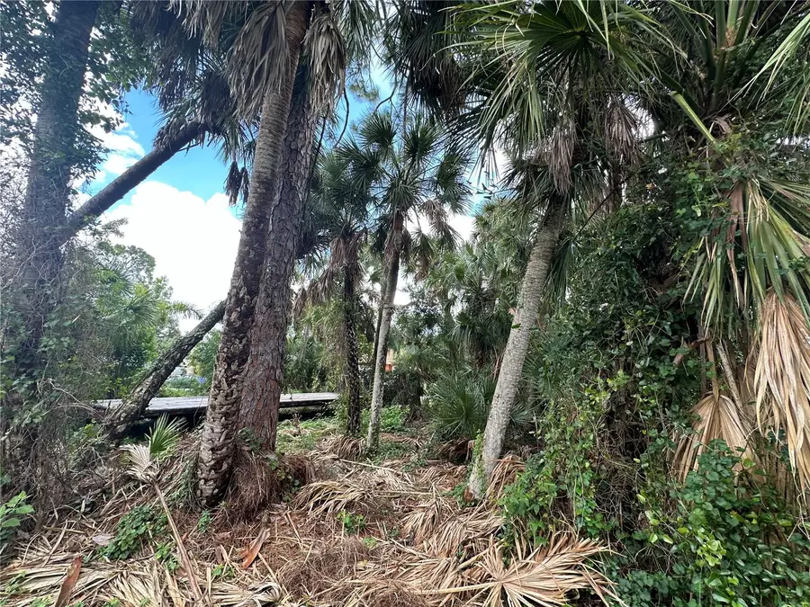 Globe Terrace, North Port, FL 34286 - Image #2