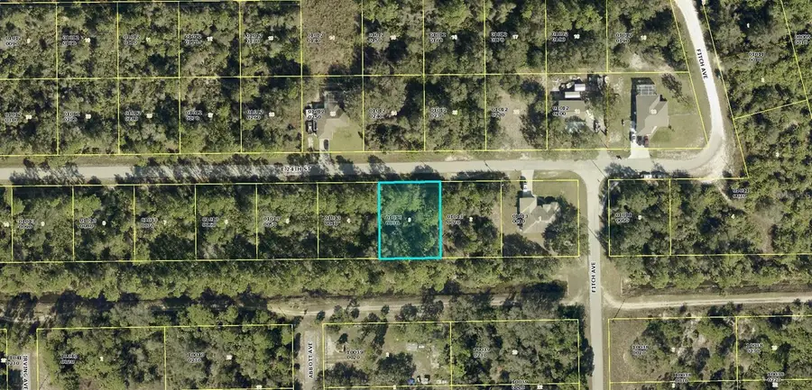 4240 E 24th Street, Alva, FL 33920 - Image #2