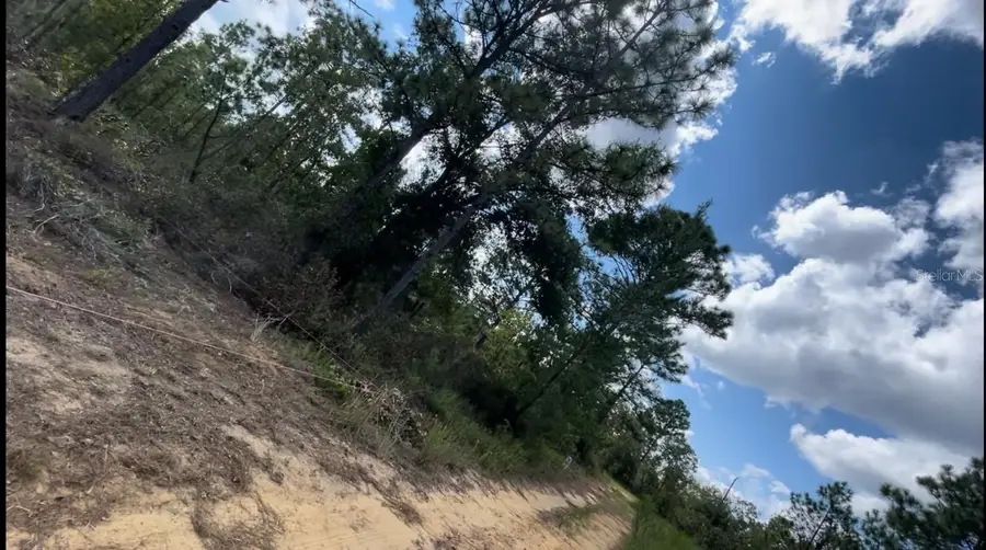 lot 25 Birch Avenue, Interlachen, FL 32148 - #3