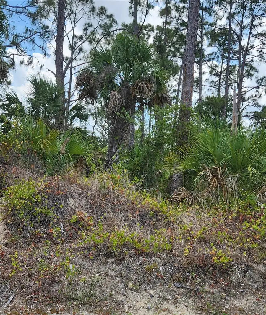 Mcginnis Terrace, North Port, FL 34286 - Image #2