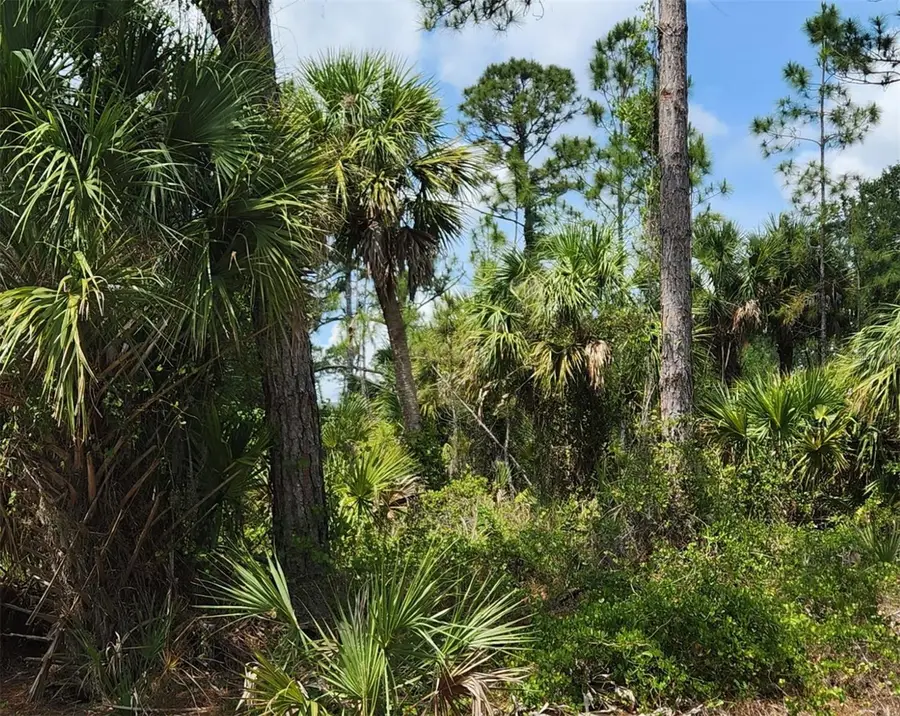 Basket Street, North Port, FL 34288 - Image #2