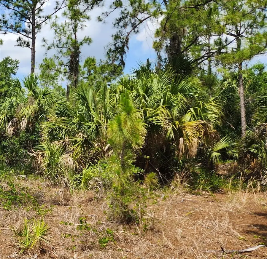 Basket Street, North Port, FL 34288 - Image #3