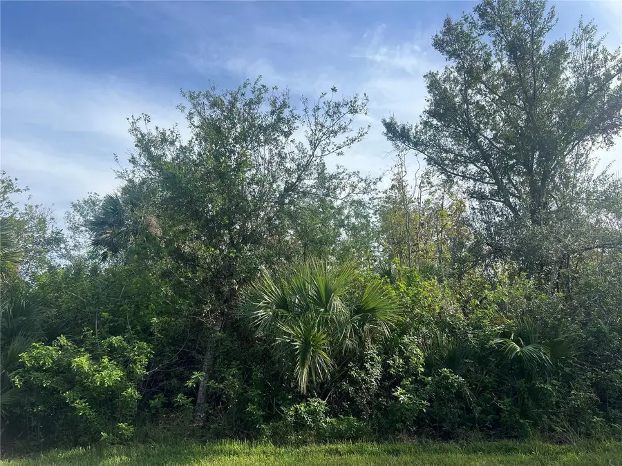 7168 Lippman Road, Port Charlotte, FL 33981 - Image #3
