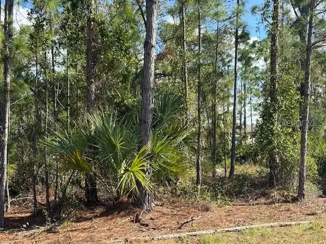 142 Algonquin Street, Port Charlotte, FL 33954 - Image #2