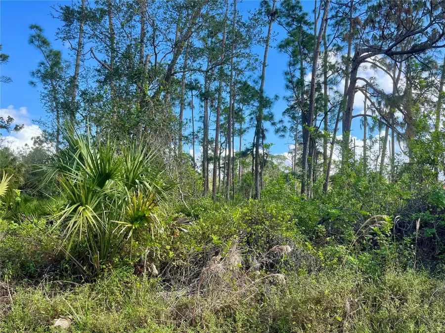 4134 Winona Street, Port Charlotte, FL 33948 - Image #3