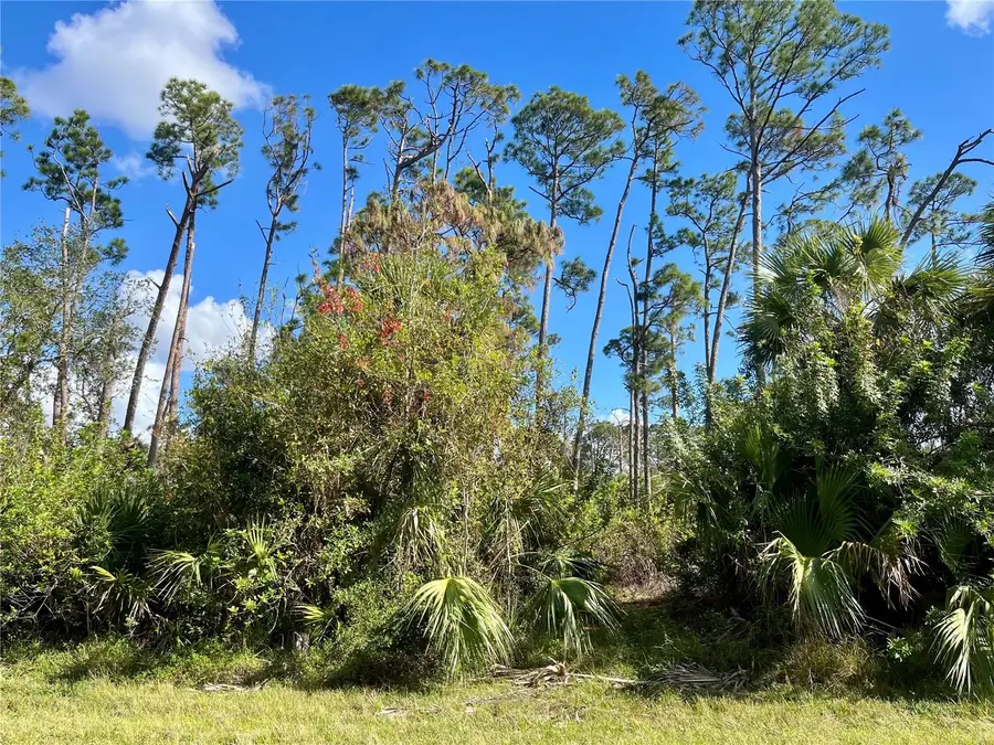 4142 Winona Street, Port Charlotte, FL 33948 - Image #2