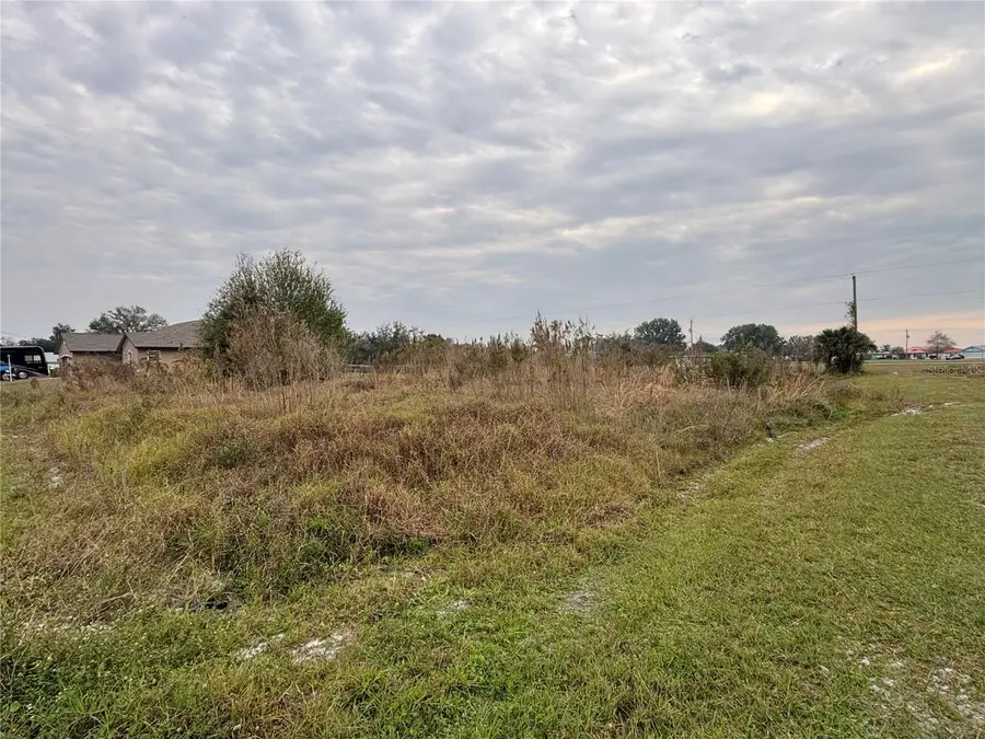 31083 Peace Street, Punta Gorda, FL 33982 - #2