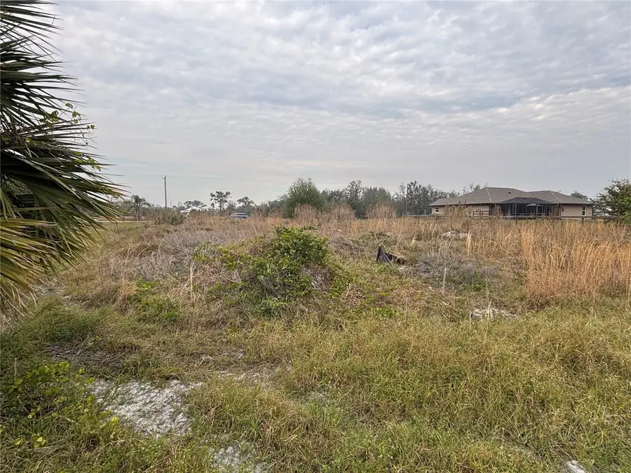 31083 Peace Street, Punta Gorda, FL 33982 - #3