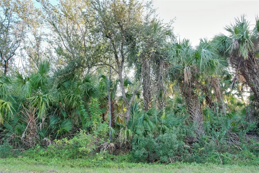 14299 Cannell Lane, Port Charlotte, FL 33953 - Image #3