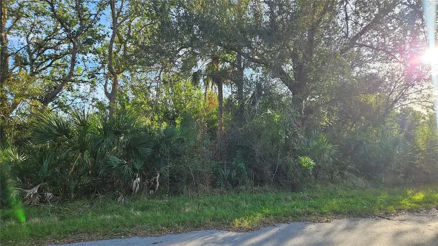 14417 Rowan Avenue, Port Charlotte, FL 33953 - Image #3