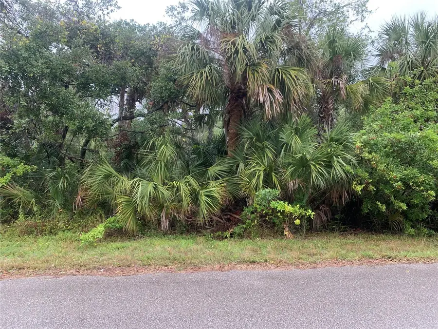 14452 Molla Avenue, Port Charlotte, FL 33953 - Image #3