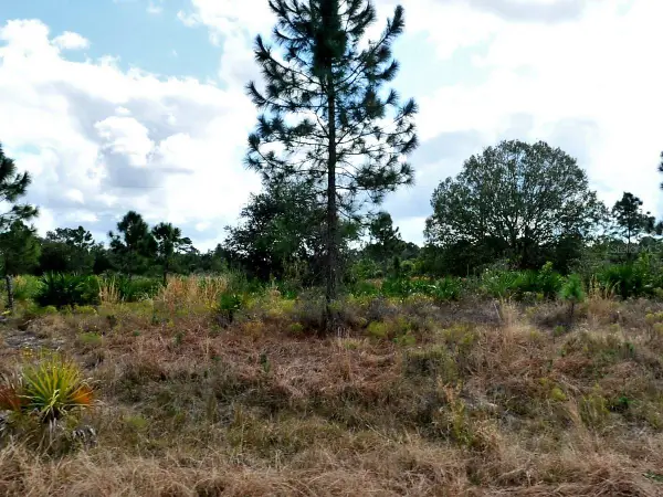 Winterville Circle, NORTH PORT, FL 34288