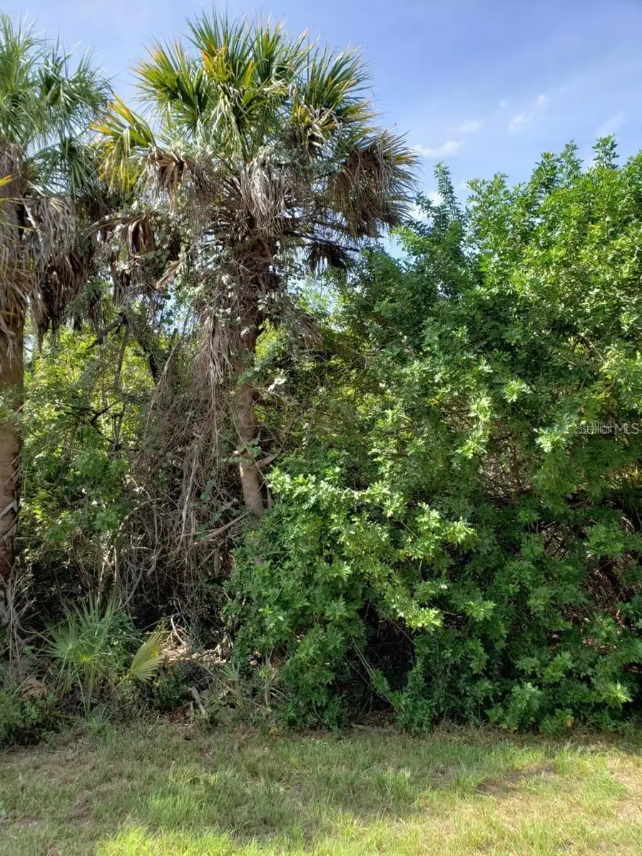 18048,18040, 18056 Wing Avenue, Port Charlotte, FL 33948 - Image #3