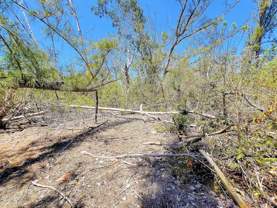 The Island Property Manasota Key, Englewood, FL 34223 - Image #2