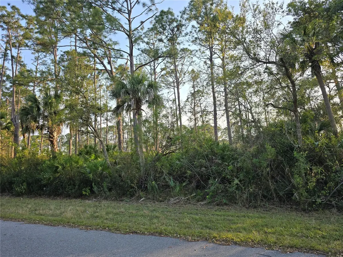 12469 Harlow Avenue, Port Charlotte, FL 33953 - Image #1