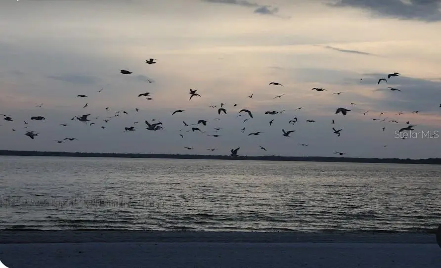 Lot 1 Locust Pass Course, Ocala, FL 34472 - #2