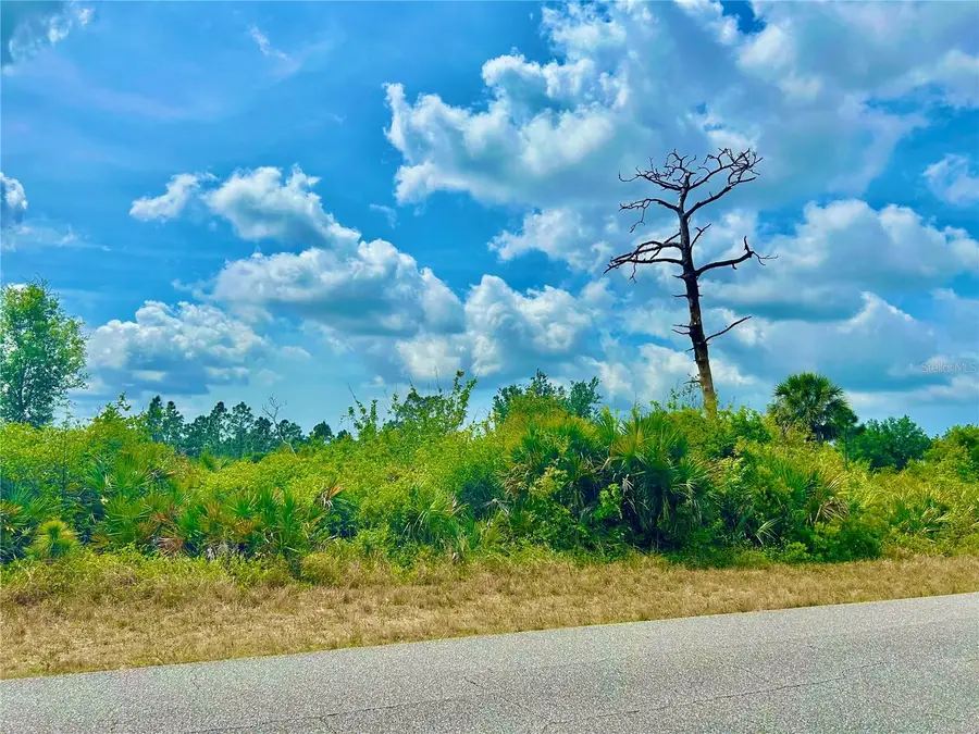 12053 Abrams Avenue, Port Charlotte, FL 33981 - #3