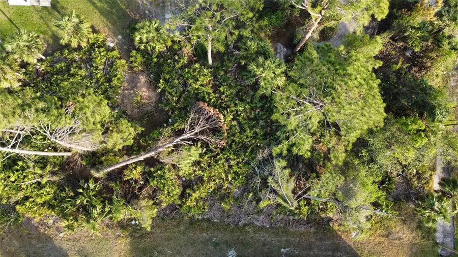 Sparkle Lane, North Port, FL 34286 - Image #3