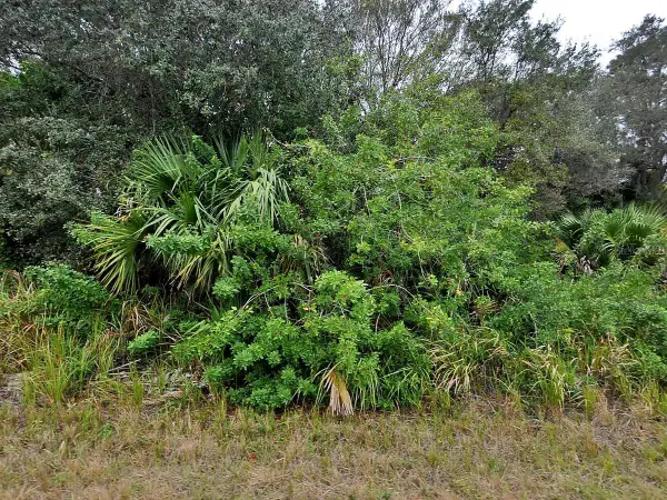 Brewster Lot #8 Road, NORTH PORT, FL 34288