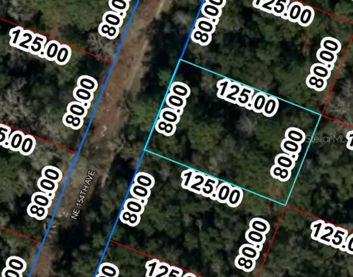 TBD NE 154 Avenue, Williston, FL 32696 - Image #2