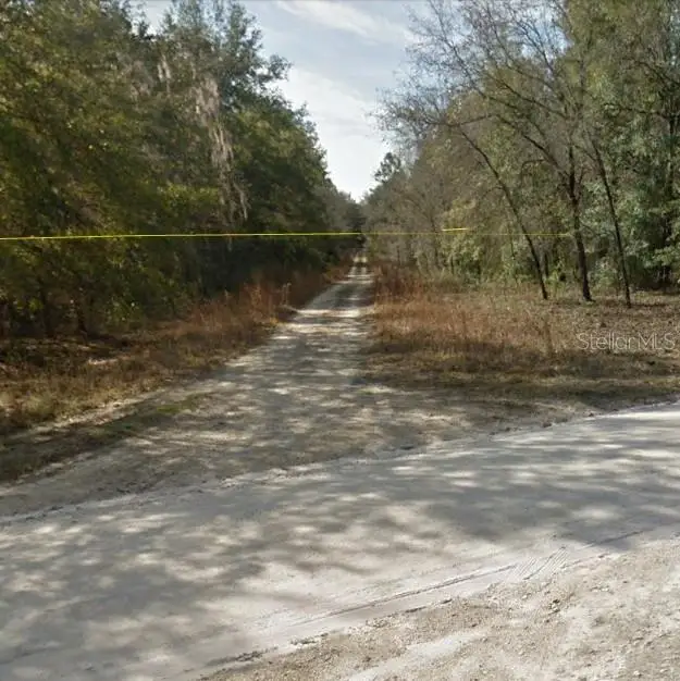 TBD NE 154 Avenue, Williston, FL 32696 - Image #3