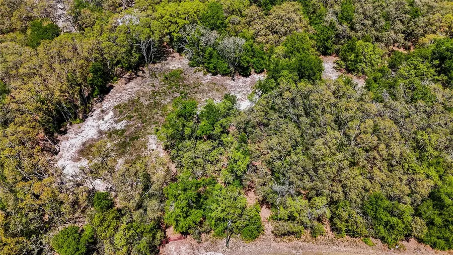 34281 Umbrella Rock Drive, Webster, FL 33597 - Image #3