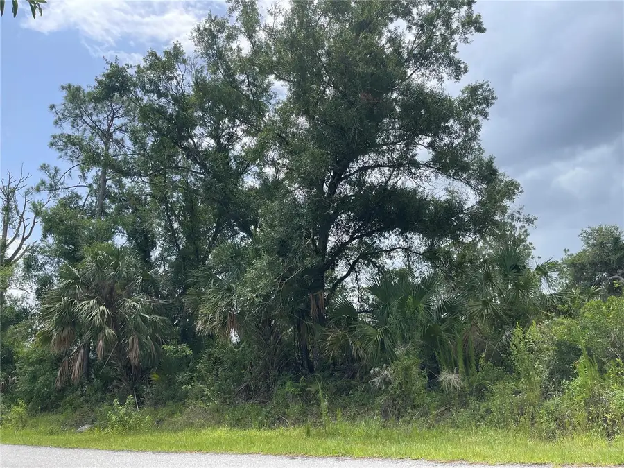 Bellafonte Avenue, North Port, FL 34286 - Image #2