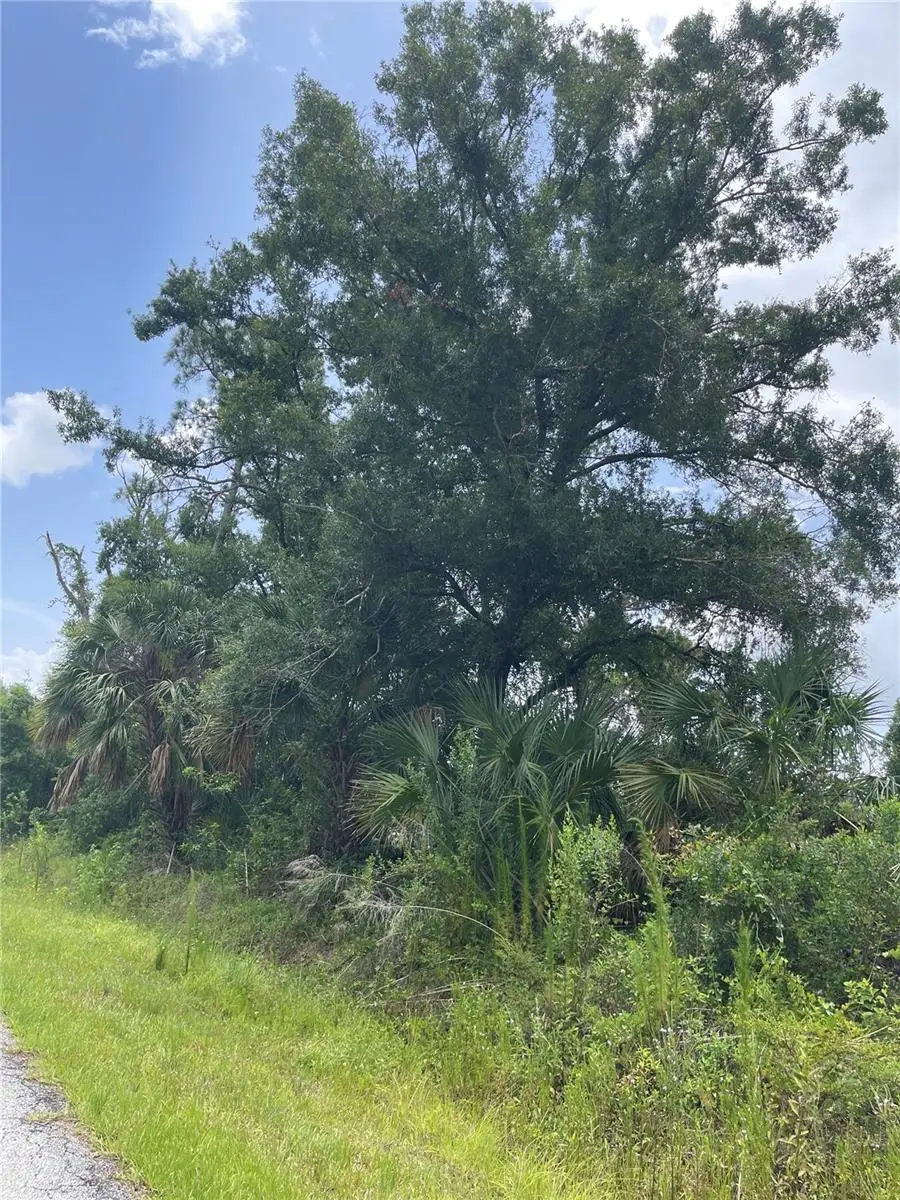 Bellafonte Avenue, North Port, FL 34286 - Image #3