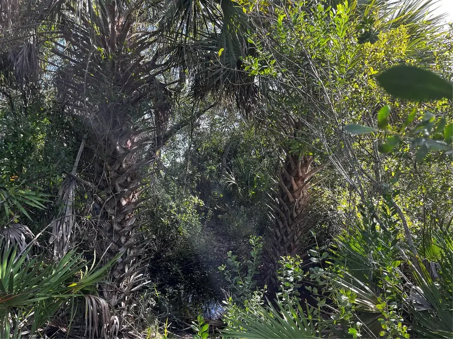 50204 Bermont Road, Punta Gorda, FL 33982 - #2