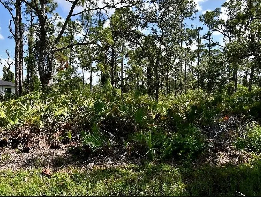 Vespucius Street, North Port, FL 34287 - Image #1