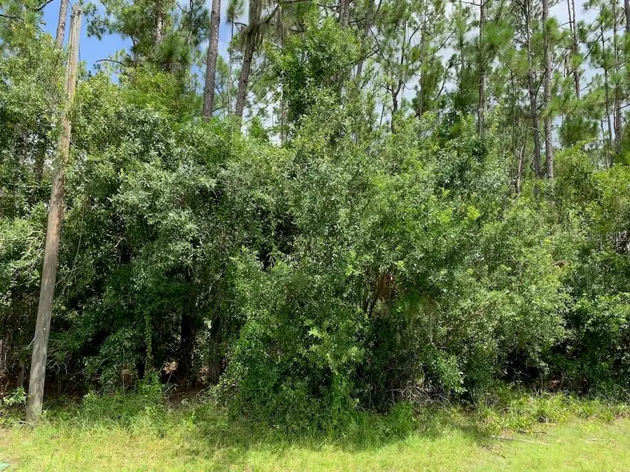 Joe Jeff Street, North Port, FL 34286 - Image #2